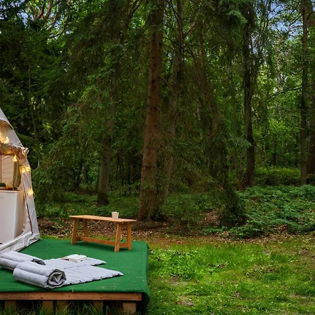 Romantisches Glamping Zelt Auf Ruegen - Uebernachten Mitten Im Kiefernwald - Nur 100m Bis Zum - Ideal Fuer Paare Und Kleine Familien - Zelt Nr 1 * Dranske