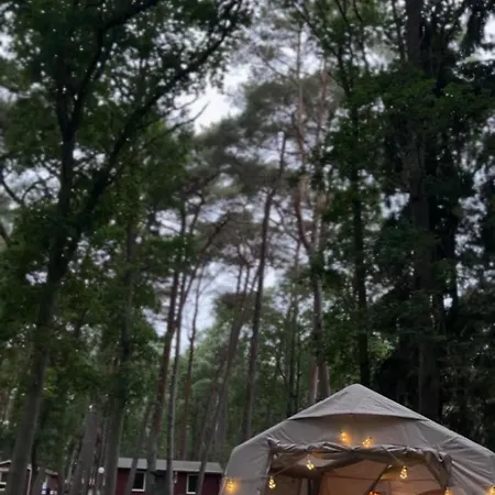 Romantisches Glamping Zelt Auf Ruegen - Uebernachten Mitten Im Kiefernwald - Nur 100m Bis Zum - Ideal Fuer Paare Und Kleine Familien - Zelt Nr 1 * Dranske