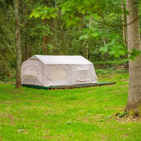 Luxe tent Romantisches Glamping Zelt Auf Ruegen - Uebernachten Mitten Im Kiefernwald - Nur 100m Bis Zum - Ideal Fuer Paare Und Kleine Familien - Zelt Nr 1 *